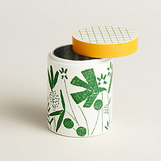 カルピス358　【未使用品】AL MERRIC THE POD a-walk-in-the-garden-tea-box--
